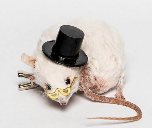 自讨苦吃！手上戴这些容易招霉运