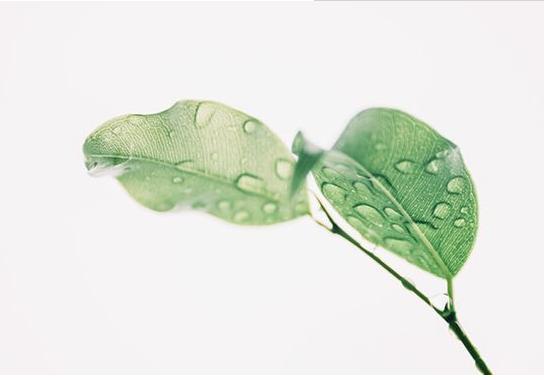 店铺招财风水有哪些招财法? 店铺招财风水有哪些招财法?