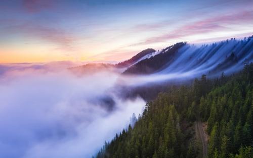2021年鼠年出生的人生肖运程预测,丙子年属鼠之女子则利感情运势- 易德轩吉祥物商城 2021年鼠年出生的人生肖运程预测,丙子年属鼠之女子则利感情运势- 易德轩吉祥物商城