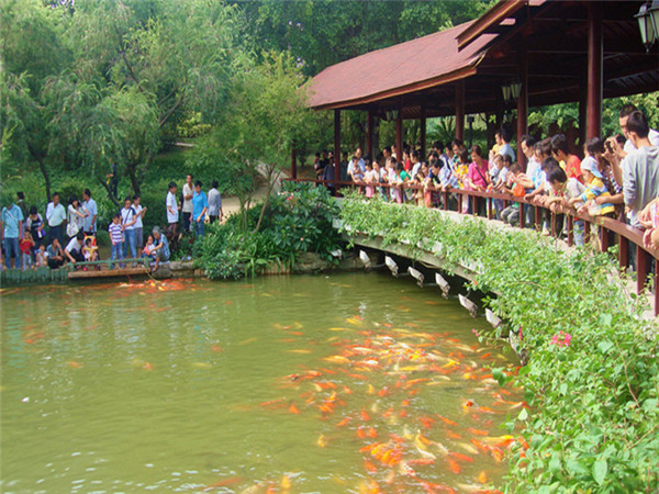 十二生肖朋友们注意了，为什么本命年易犯太岁你知道吗？- 易德轩吉祥物商城