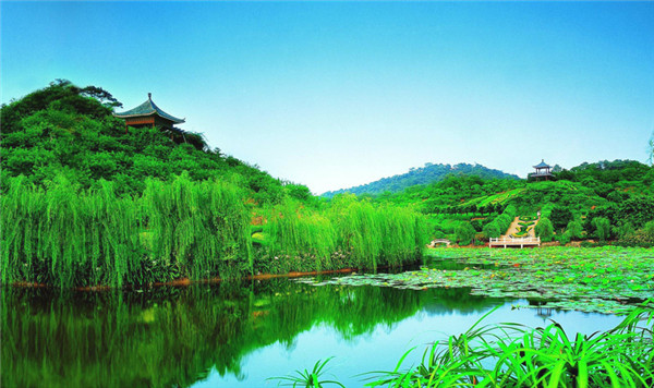 2020年十二生肖属猪人的运程预测 容易升职，但出差走动会多- 易德轩吉祥物商城