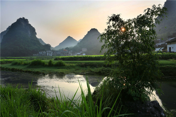 2020年十二生肖属牛人的运势预预测 工作上能得到贵人的提携- 易德轩吉祥物商城