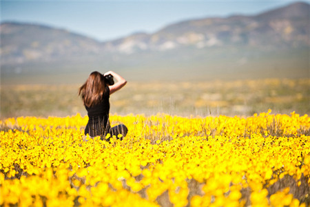 属鼠2026年如何提升运势：科学方法助你稳步前行?