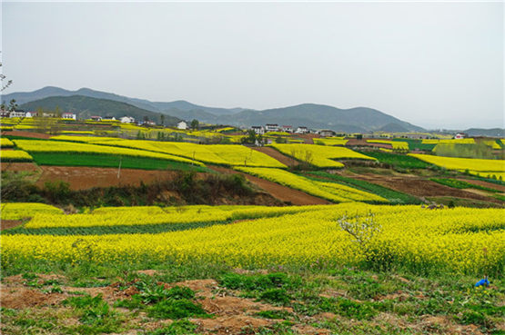 玉貔貅怎样开光?-易德轩吉祥商城