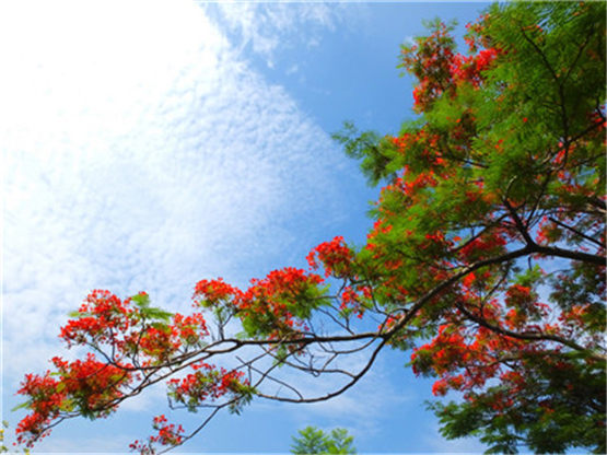 家居风水：穿堂煞的化解方法-易德轩吉祥商城