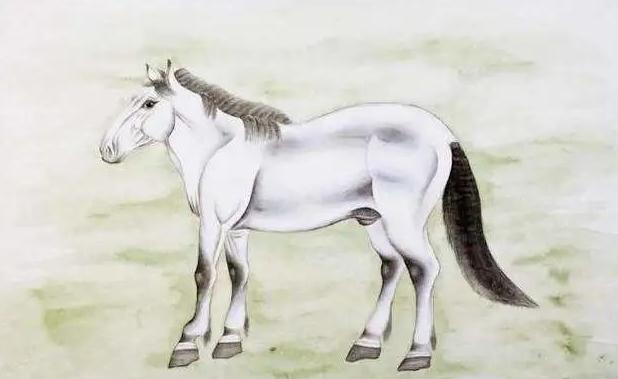 生肖运势：9月份事业一路畅通能大赚一笔钱的三生肖- 易德轩吉祥商城