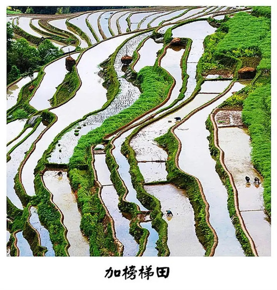 2026年十天干日柱流年运势预测-易德轩吉祥网