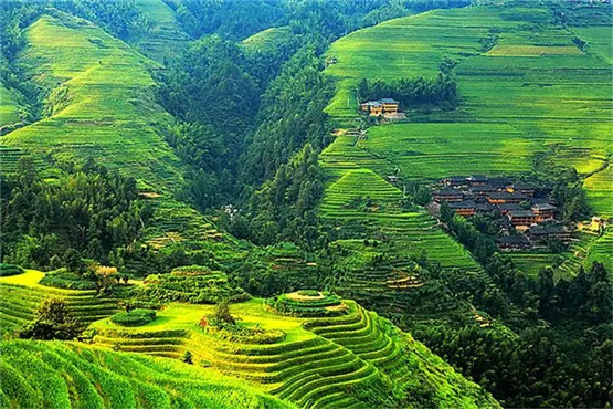 有效化解掉生活中小人的三种方式-易德轩吉祥网 有效化解掉生活中小人的三种方式-易德轩吉祥网