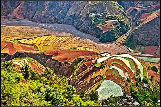农村看坟地绝招，招招干货！