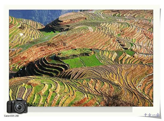 地支六合暗合的应用-易德轩吉祥网