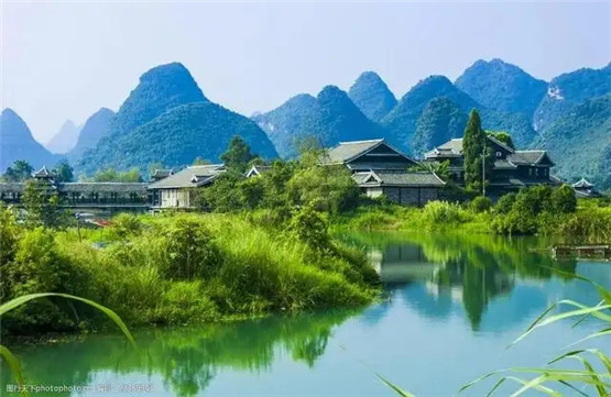 属水人办公桌适合摆放的植物，招贵旺财运势佳