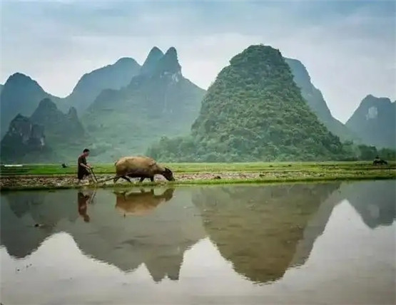 八字“印星”过旺为忌，人生该如何修行？