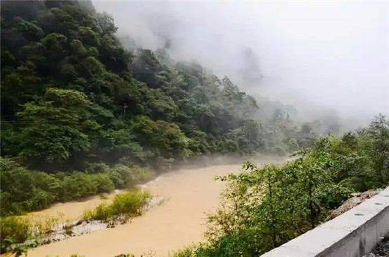 命理入门:什么是贪财坏印？-易德轩吉祥网-易德轩吉祥网