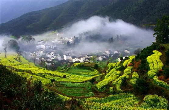 八字“枭神夺食”的底层逻辑-易德轩吉祥网