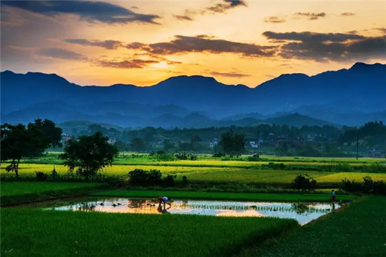 “子平格局法”论命思路要灵活，不成“格”但成“局”也可以富贵-易德轩吉祥网
