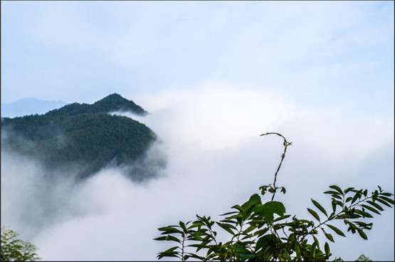 收集整理的算命口诀，太准了-易德轩吉祥网
