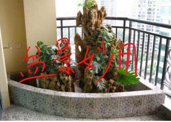 三大类催财的风水布置，用好一类就可以让你财源滚滚！