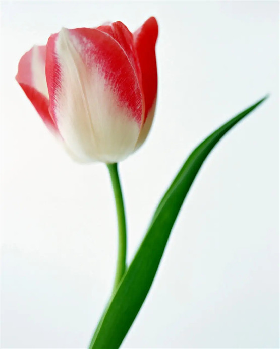 女命难以怀孕？八字命盘解密原因！-易德轩吉祥网