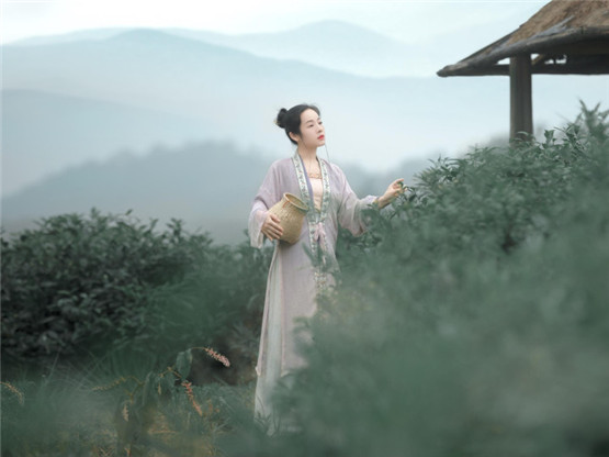 八字纯阴纯阳之人的命运特征