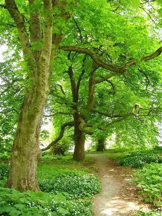 八字“正偏印”混杂，对人生会有什么影响？-易德轩吉祥网