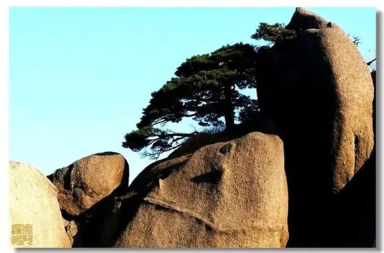 八字命理神煞系列之二（华盖的秘密）-易德轩吉祥网