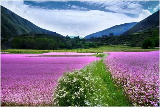 常见霉运先兆及化解方法-易德轩吉祥网