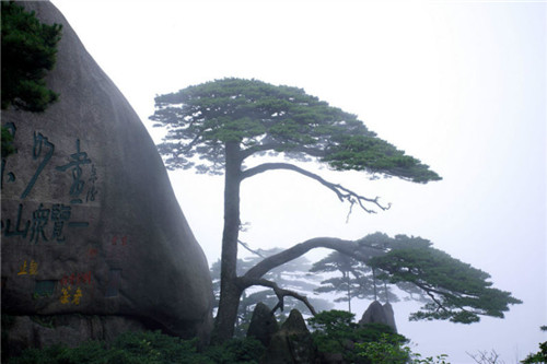 八字铁口直断秘传公开