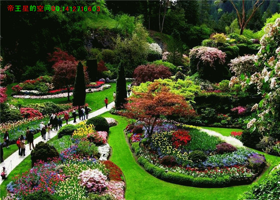 阴宅寻龙点穴法真诀