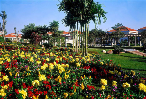 六十日柱，干支直断