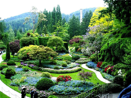 命理学：五行中缺什么该怎么补?