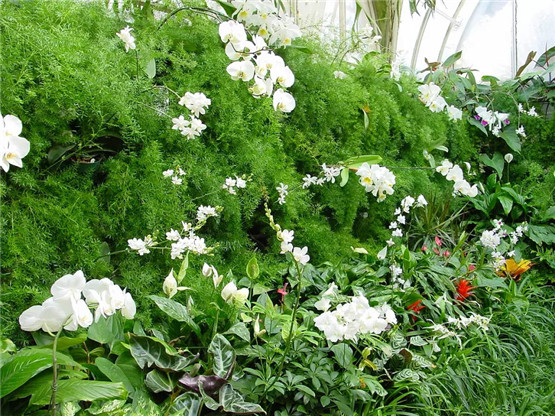 什么是阴阳，阴阳的内涵外延，阴阳变化的7个基本规律