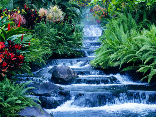 风水墓地要怎么看怎么选择呢？