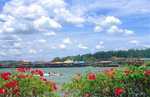 八字“伤官合杀”和“伤官制杀”到底有何区别？