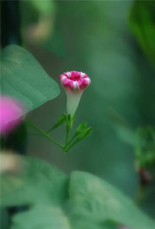 风水知识：24山水口吉凶断