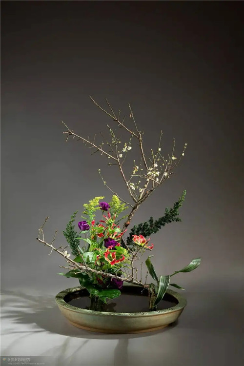 办公室茶具摆放风水-易德轩吉祥网