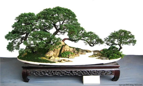 八字财旺之局如何得财更高效？相对比劫克财，反而最喜官杀参与配合？