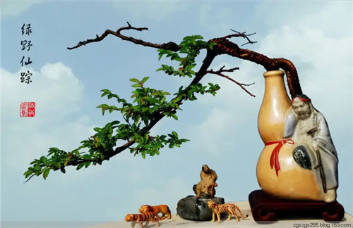 八字命理知识100条