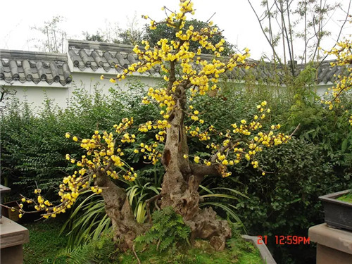 风水知识：七十二龙四大水口秘法