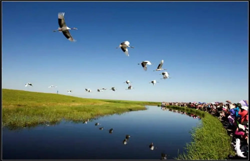 三元九运阳宅风水为你解开现代风水迷局