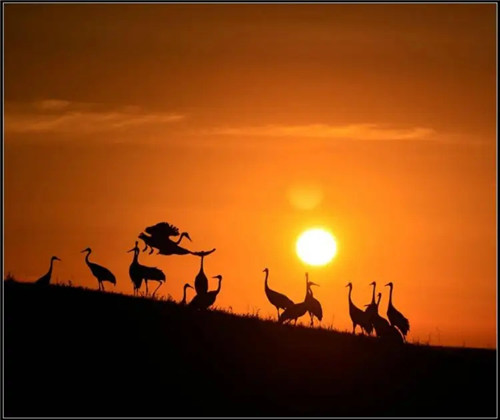 八字中吉神顺用凶神逆用是什么意思？