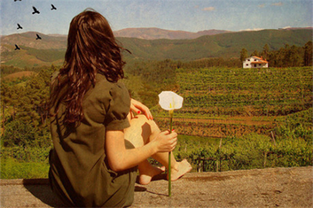 2026丙午火年并非皆吉，喜火之人也需谨慎！