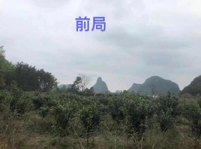 楼盘风水规划与人居环境适配解析