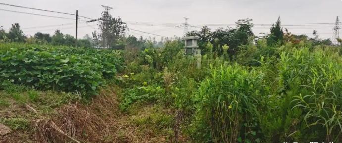 阴宅风水实操指南