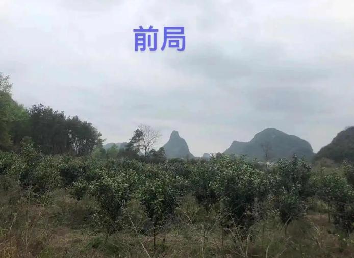 韶关房屋风水先生居家布局参考