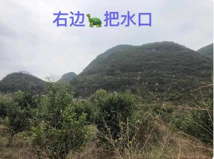 广西小孩起名民俗文化讲究整理
