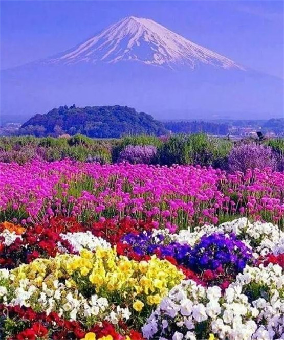 教你断四柱命例祥释