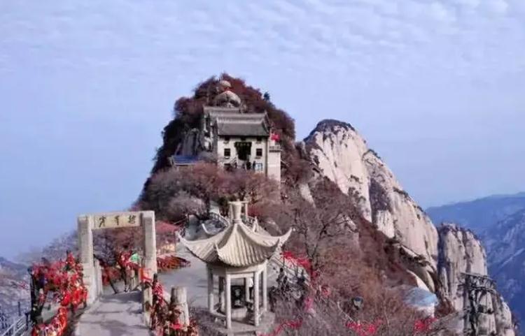 男士办公室摆件放什么好 仙人掌招财进宝-易德轩吉祥商城 男士办公室摆件放什么好 仙人掌招财进宝-易德轩吉祥商城