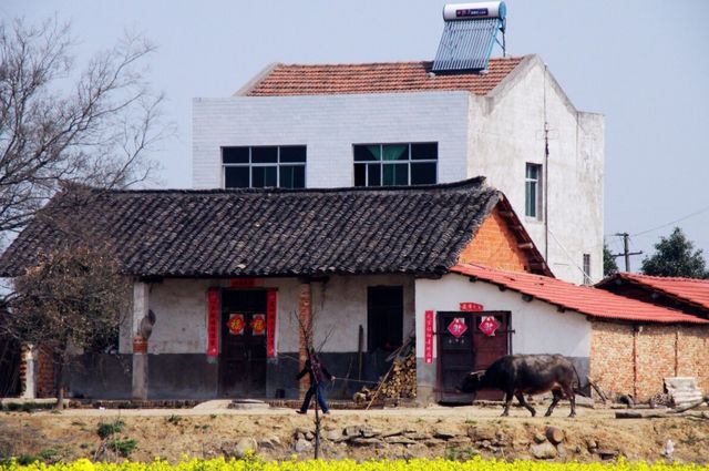   农村房子财位在哪里  进门位置的斜对角