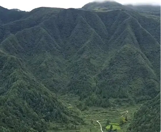 风水知识：花假之穴与真龙穴的区别