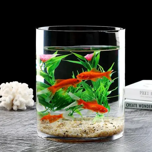 养鱼催财旺运六大重要问题